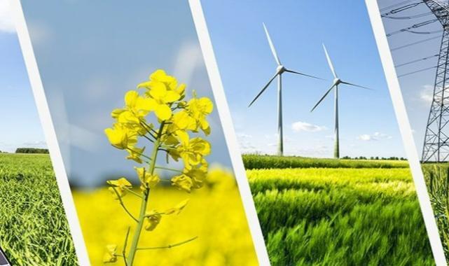 Yeterli, Erişilebilir, Sağlıklı Gıdaya Erişimin En Doğru Yolu: Sürdürülebilir Tarım
