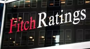 Fitch, Türkiye Varlık Fonu’ 'nun kredi notunu yükseltti