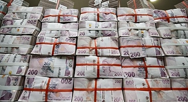 Bütçe uygulama sonuçları (2)