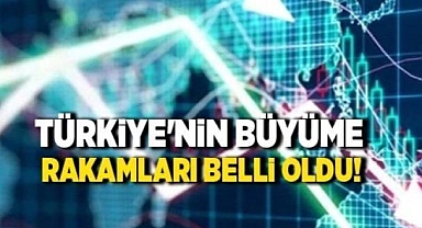 Büyüme rakamları açıklandı (1)