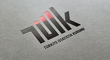 İş gücü istatistikleri (2)