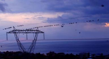 Spot Elektrik Piyasasında Sert Düşüş | Günlük Fiyatlar ve İşlem Hacmi Açıklandı