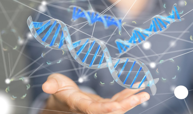 Ekonominin DNA'sı: Finansal Genetik Haritamızı Çizmek