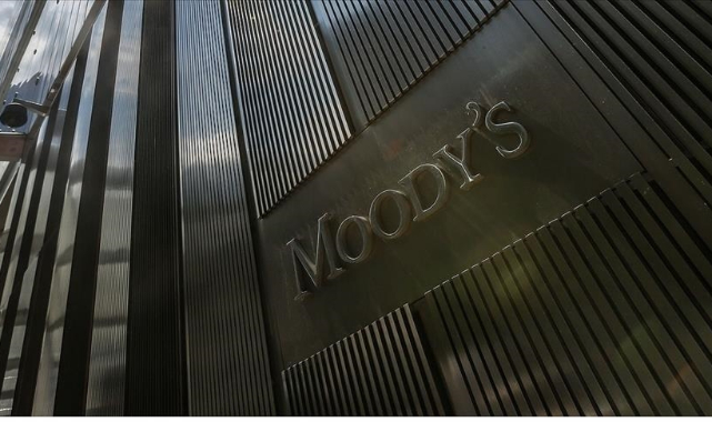 Notlar, Tahminler ve Gerçekler: Fitch ve EBRD'nin Türkiye Hikâyesi