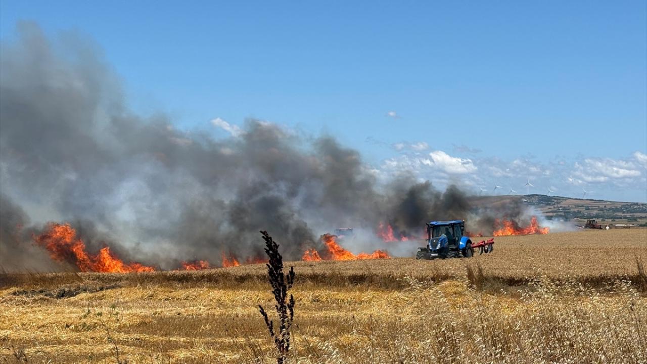 Silivri'de kırsal alanda çıkan yangına müdahale ediliyor